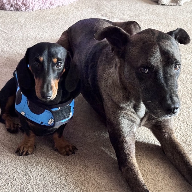 Wilfred & Duke